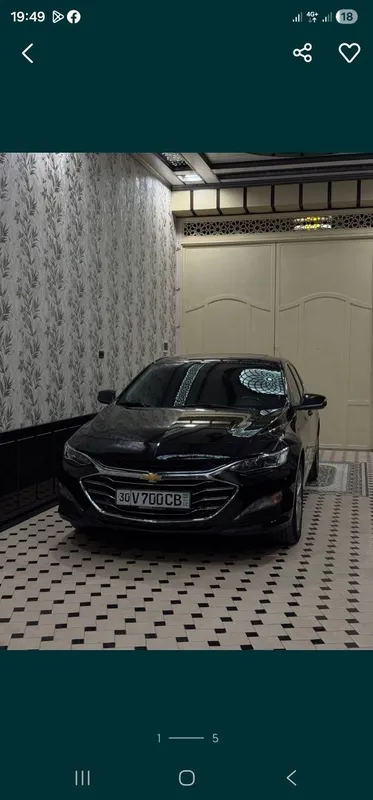 Malibu sotiladib2020
