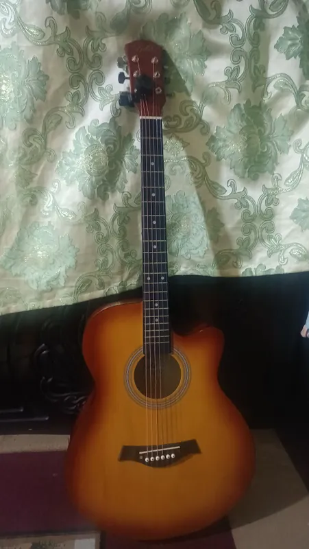 Akustik Gitara
