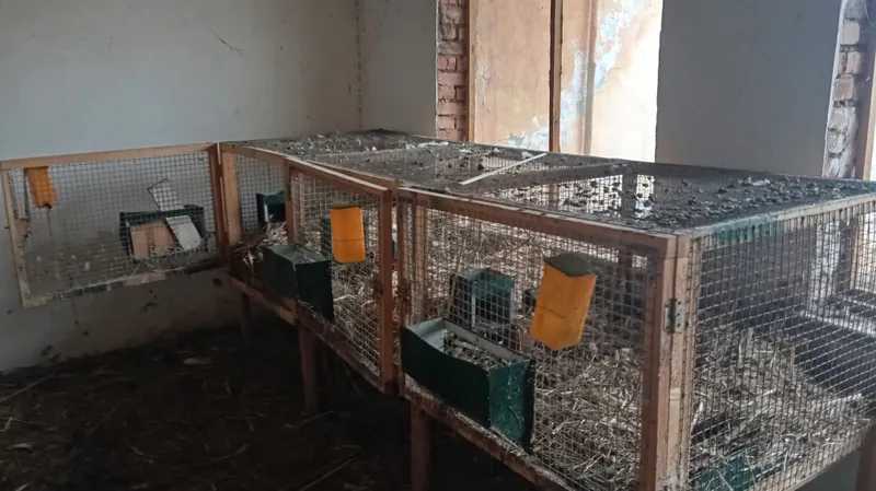 продается вольеры для кормления кур и кроликов — фото 3