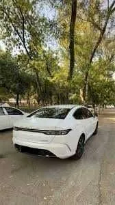 byd chyazor active 2
