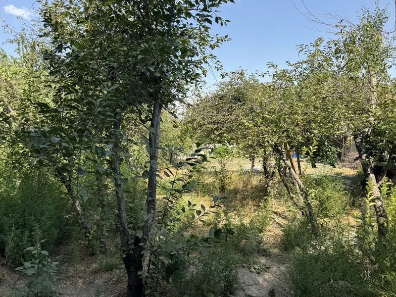 Uchastka sotiladi kadastr va hujjatlari tayyor. Manzil Qibray tumani 1