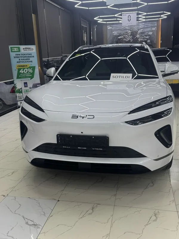 Byd Sea Lione 06 4
