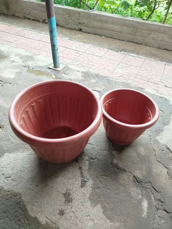 Gul tuvaklar sotiladi ideal xolatda 80 ta bor — фото 1