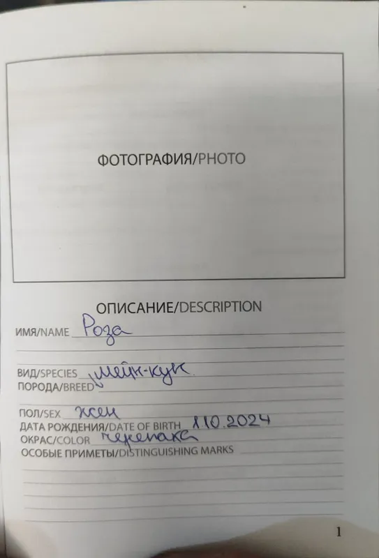 Men kun sotiladi 7 Men kun sotiladi 7
