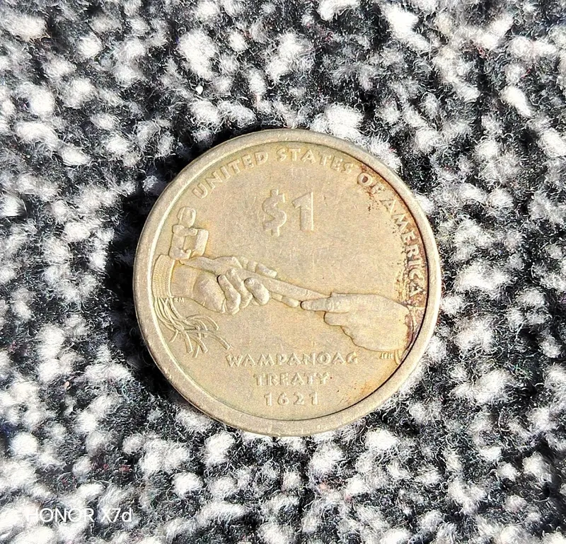 Sacagawea 1 $ Collection
