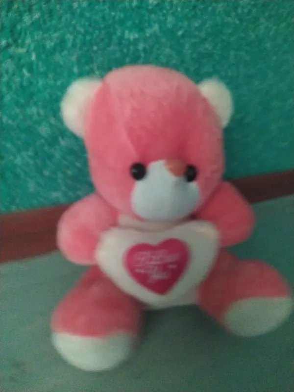 ayiqcha (teddy) 2 ayiqcha (teddy) 2