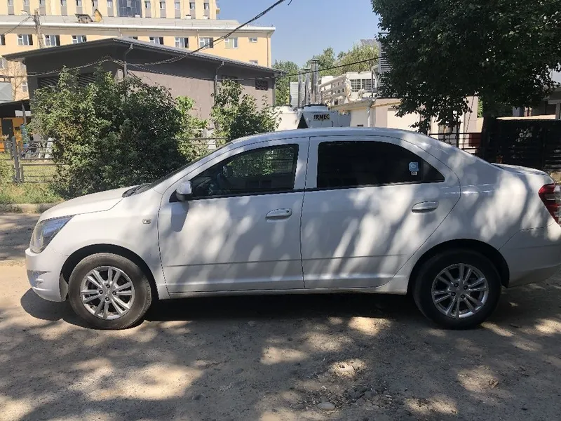 Oq ideal 2025 Cobalt 5 Oq ideal 2025 Cobalt 5