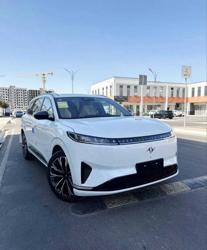 variantga dongfeng 008