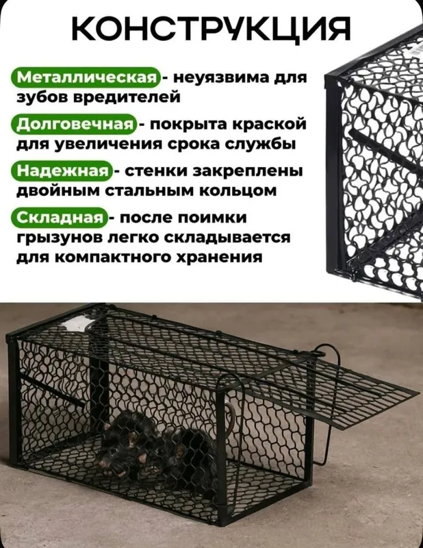 Kalamush qopqon Мышеволька — фото 2