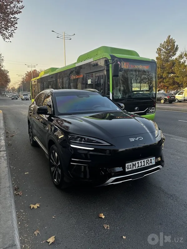 BYD Champion Smart 605 км, 2025 4 BYD Champion Smart 605 км, 2025 4