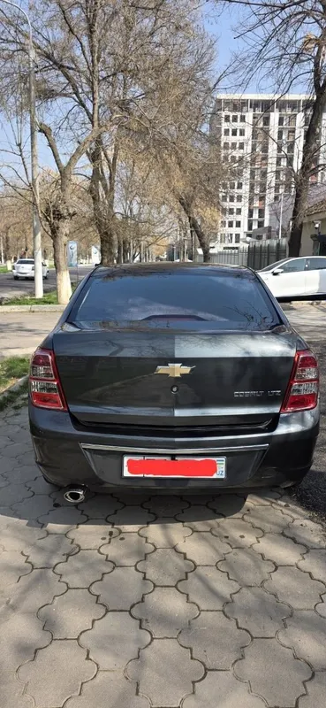 Damas 2025 Damaz Дамас Дамаз Выкупга 5 Damas 2025 Damaz Дамас Дамаз Выкупга 5