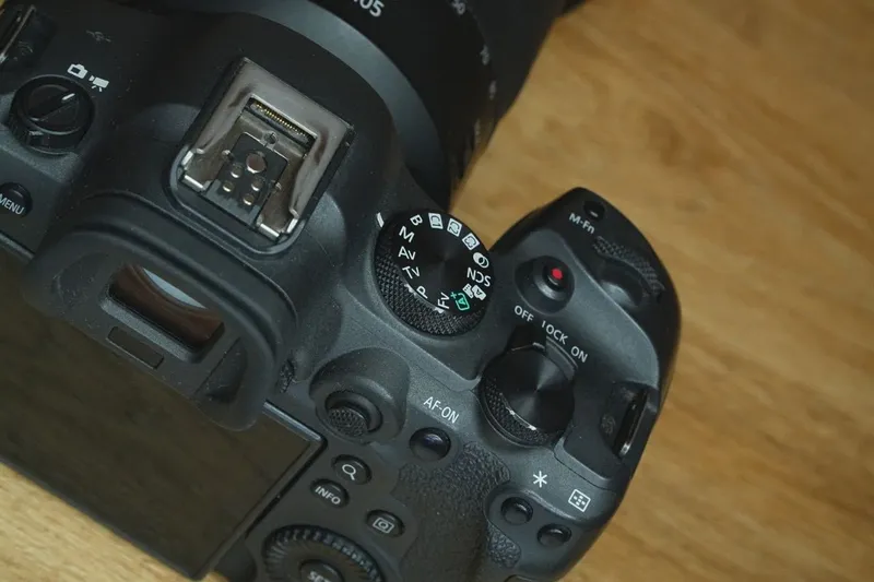 Canon EOS R6 Mark II + Canon RF 24-105mm f/4L USM — фото 5