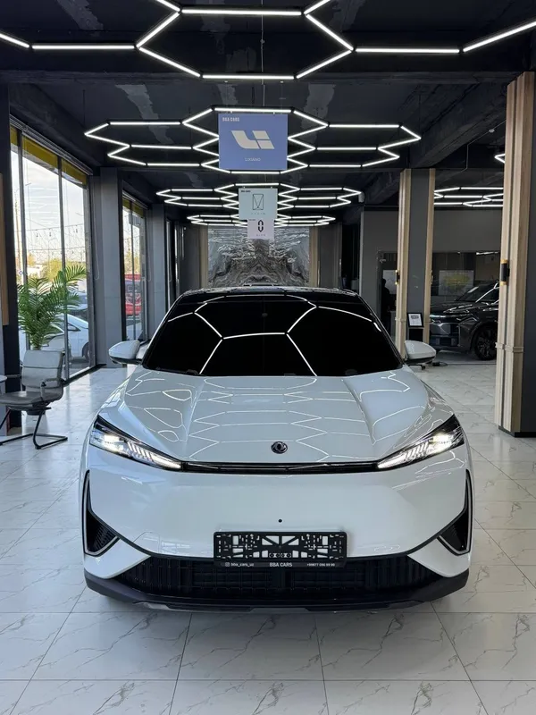Donfeng Aelos L7 1 Donfeng Aelos L7 1