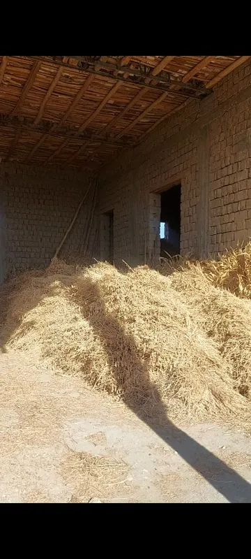 Беда,маккаи сотилади — фото 3