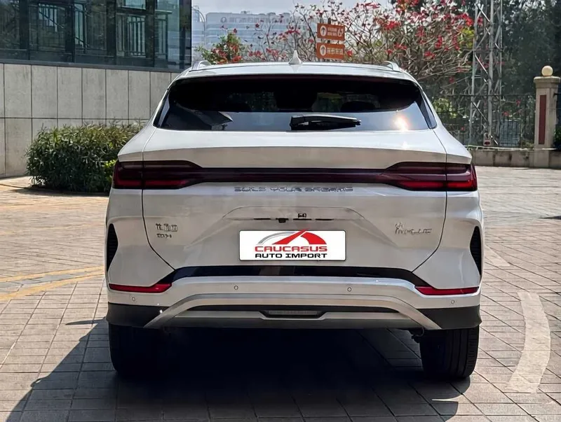 BYD Song Plus DM-i Champion 110km Flagship — фото 4