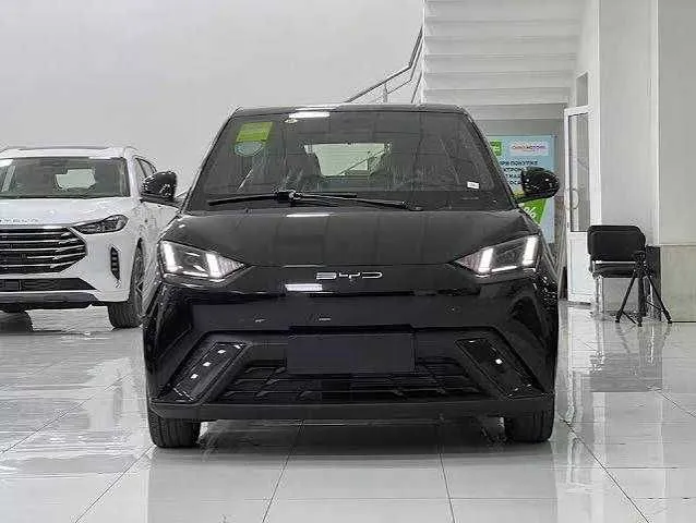 Byd seagull 2026 naqt va xalol nasiya 1