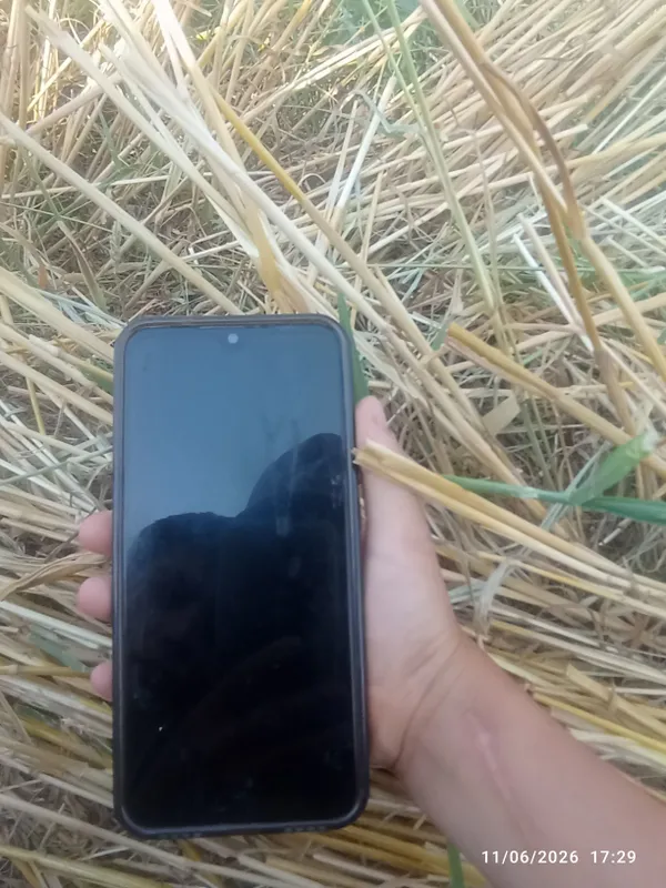 redmi