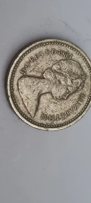 монета