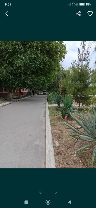квартира 5 квартира 5