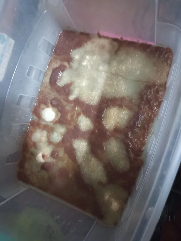 Однаспальные кровать