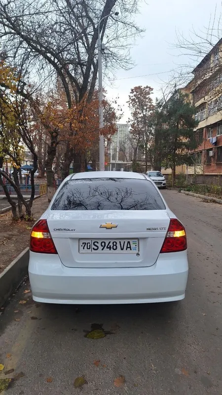 Barcha malumot telda