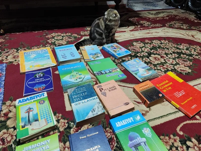 Kitoblar sotiladi hammasi 100 ming