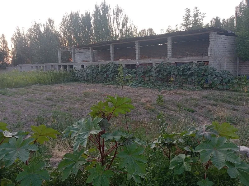 Srochni 24 sotux 2 xonali xamma sharoyitlar bor xovli sotlad — фото 2