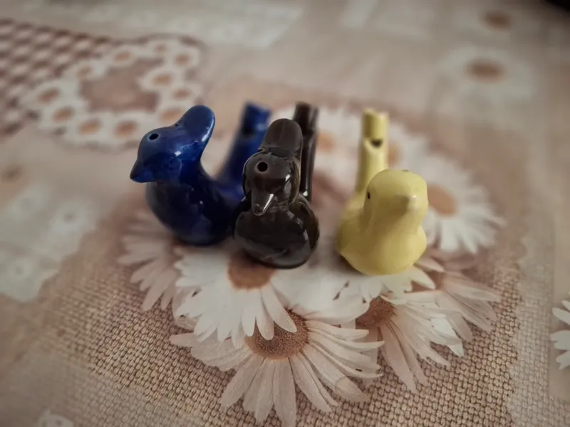 Qush ovozli suvli hushtaklar 3dona!!
