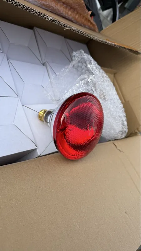 Lampa Infra qizil lampa инфракрасная лампа