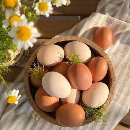 Продаю домашние куриные яйца Продаю домашние куриные яйца
