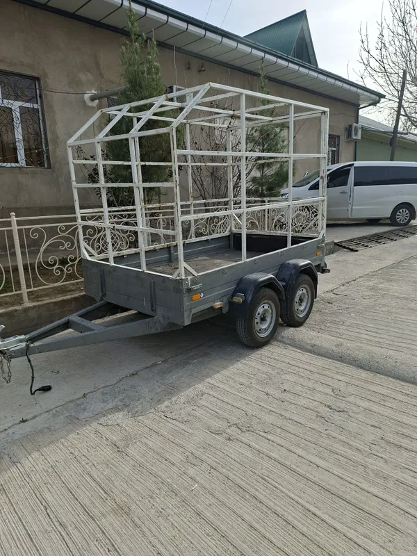 2019 йил саранске 3