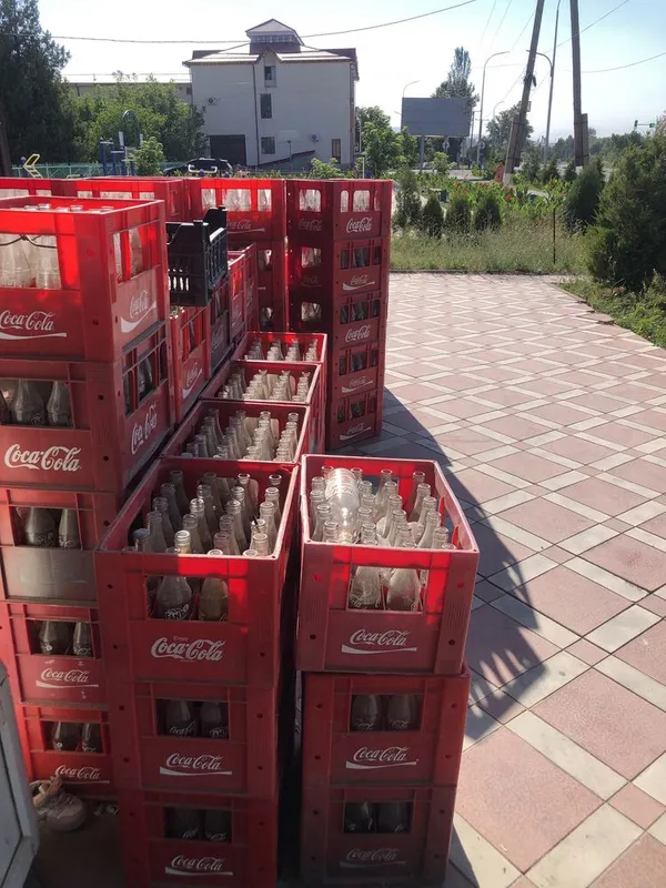 Coca cola Tara shisha kimga kerak boʻlsa 1 Coca cola Tara shisha kimga kerak boʻlsa 1