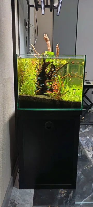 200 litrlik akvarium 2 200 litrlik akvarium 2