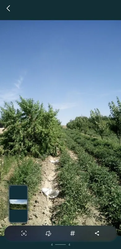 Земельный участок — фото 3