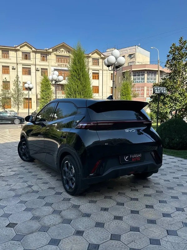 byd seagull nasiya savdo 2024 4 byd seagull nasiya savdo 2024 4