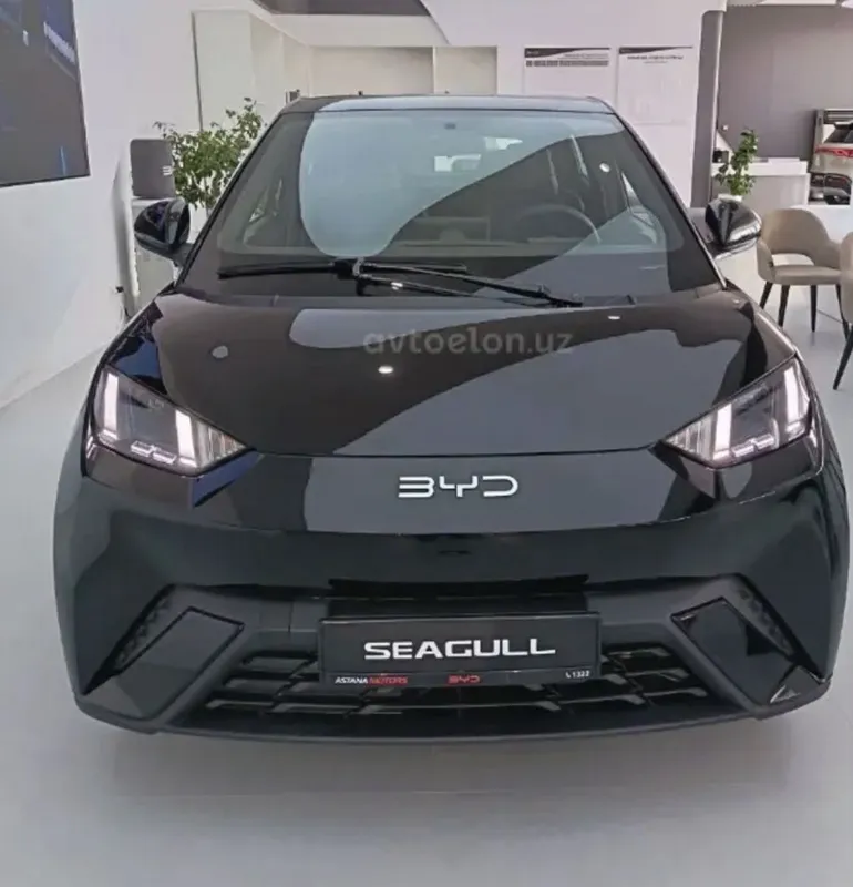 BVD Sigul sotiladi