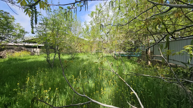 Продаётся участок 40 соток с постройкой | Красногорск, Ташкентская обл — фото 5