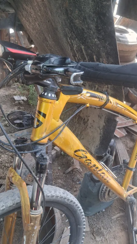 velosiped 1 velosiped 1