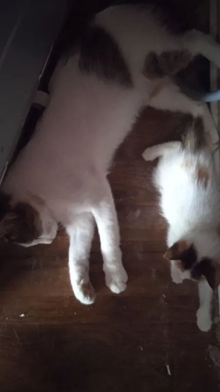πππ ππππ ππ’π ππ’π 1 πππ ππππ ππ’π ππ’π 1