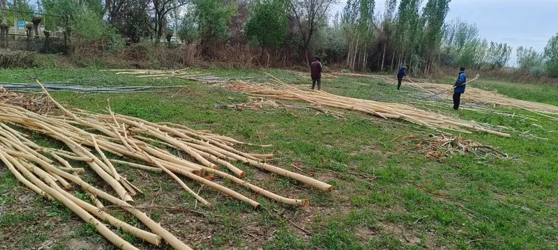 Каратал када сатылады — фото 3