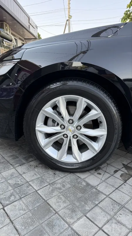 Malibu 2 premier kraskasi tozza 8 Malibu 2 premier kraskasi tozza 8