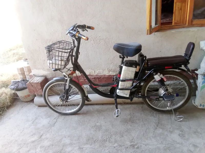 Elektiron velosepet 1