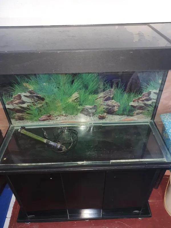 Akvarium sotiladi. Algoritm 31 kvartalda. 6 Akvarium sotiladi. Algoritm 31 kvartalda. 6