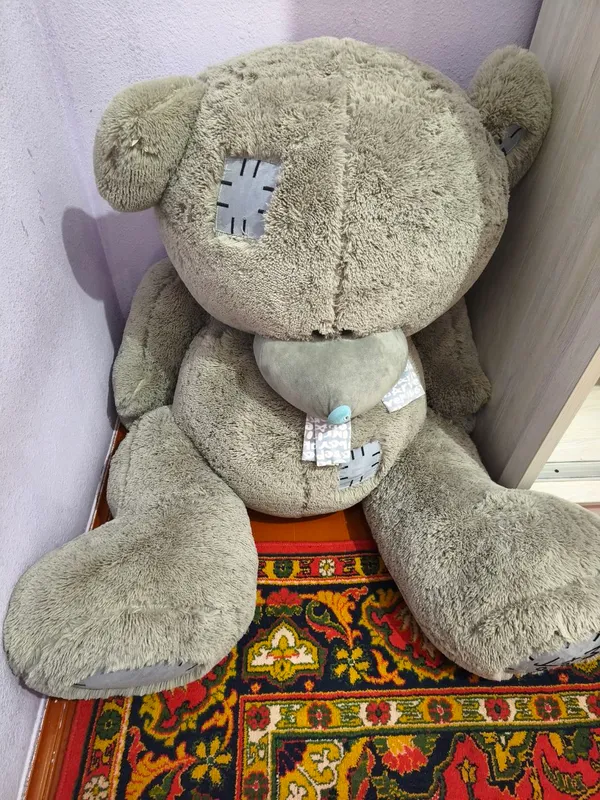 Теддий айик каттаси