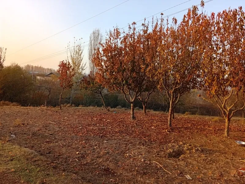 Qurilish uchun yer sotiladi