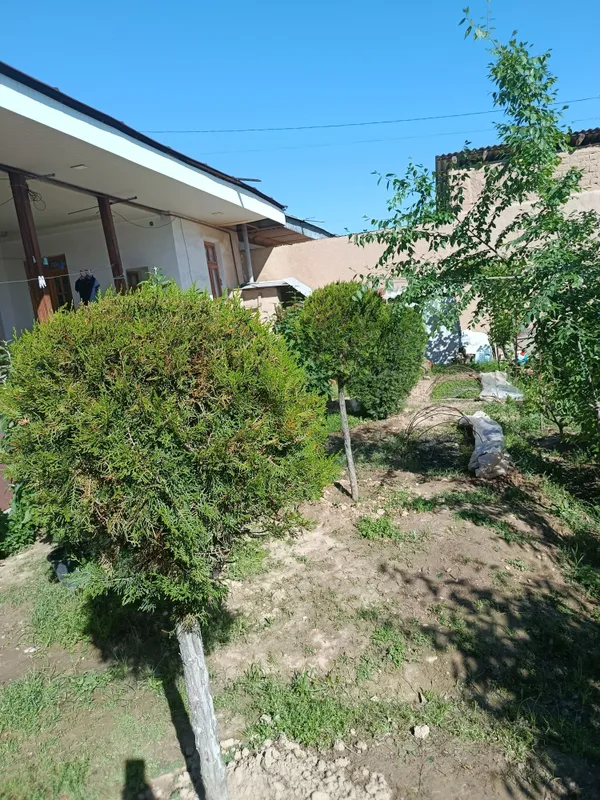 Shar,skelet va pryamoy archalar tayyor kesilgan — фото 3