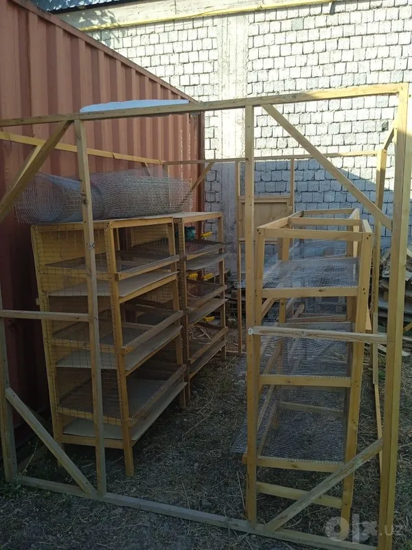Bedana inlar, inkubator, va ozuqasi sotiladi. 1 Bedana inlar, inkubator, va ozuqasi sotiladi. 1