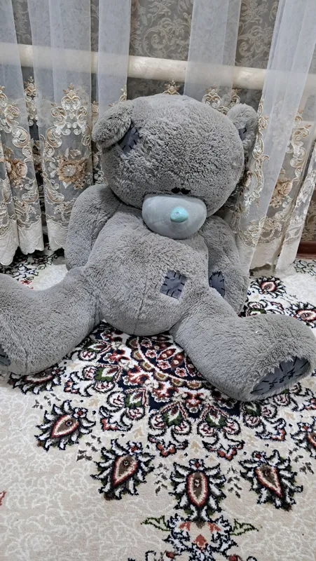 teddy ayiqchalari 1