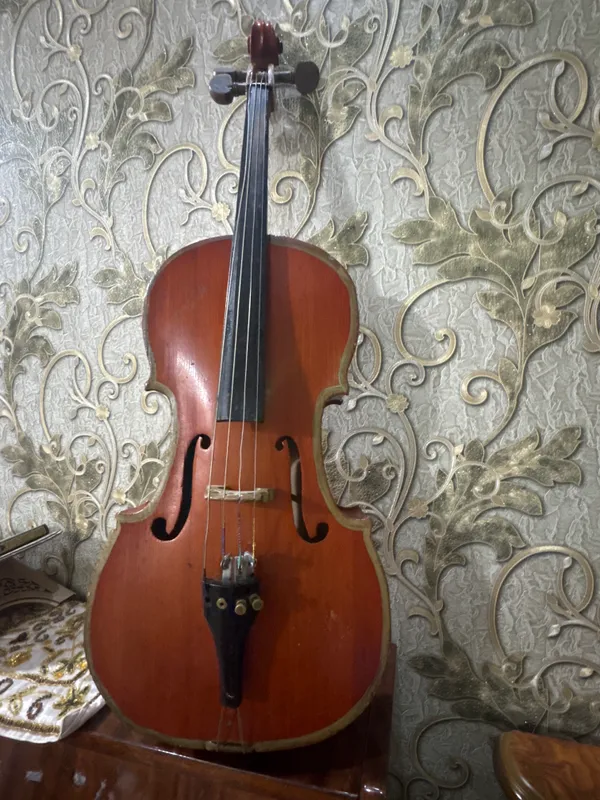 violanchel 1/4 2