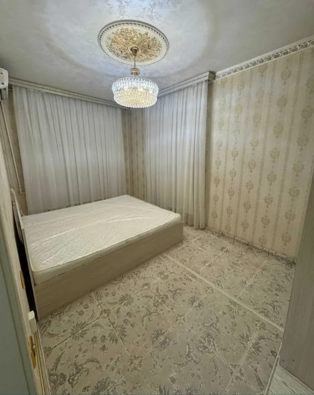 квартира 5 квартира 5